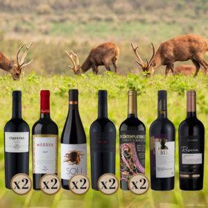 Vildtpakke, 7 vine, 12 flasker nøje udvalgt