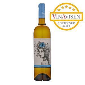 2024 Ayano Marsanne/Rousanne/Viognier 12,5% - Livlig og ungdommelig – frisk og frejdig til mange formål